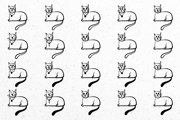 Cats: A Practical Guide to Feline Care and Companionship