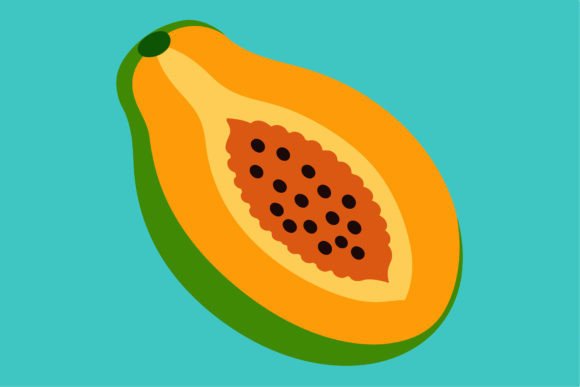 Papaya Cut Open Vector Illustration