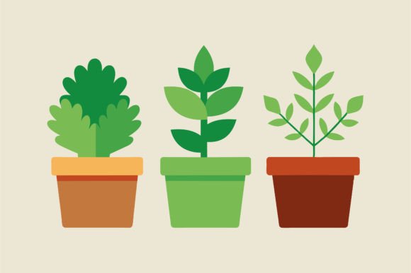 Set of Office Plants in Pots Vector: Design Guide